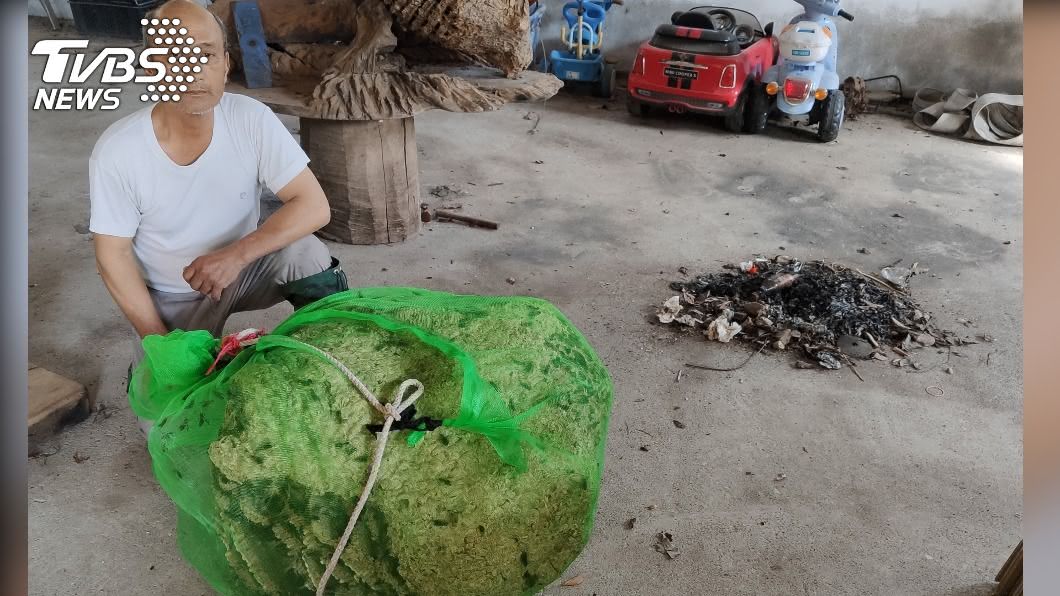 颱風未侵襲 導致台東虎頭蜂窩大爆發