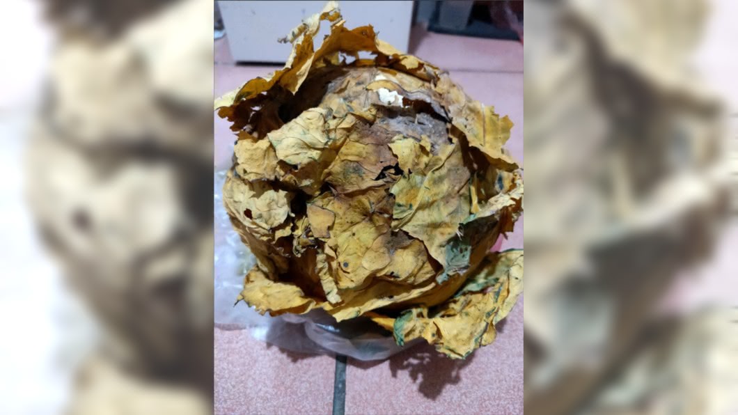 圖／翻攝自爆廢公社二館