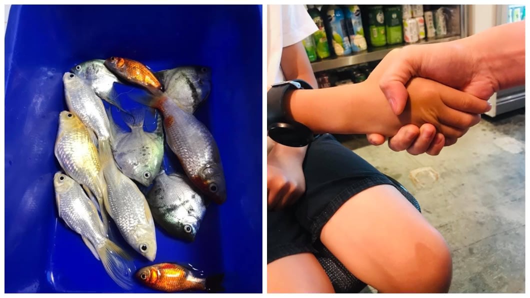 調皮兒倒清潔劑毒死整缸魚 母帶子登門道歉結局被讚爆