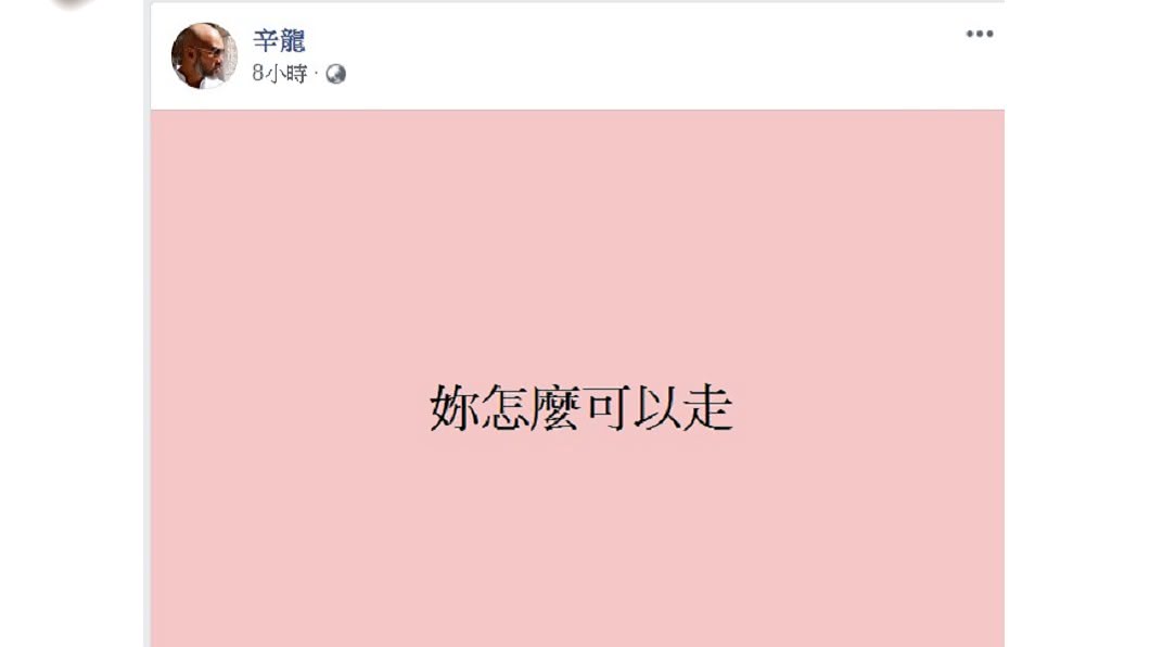 辛龍突發文引人憂心。(圖/翻攝自辛龍臉書)
