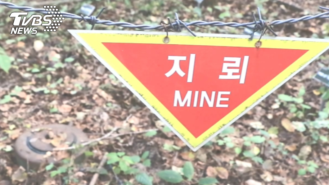 北韓佈署在DMZ的地雷，洪水氾濫時可能隨水流漂到南韓。（示意圖／TVBS資料畫面）