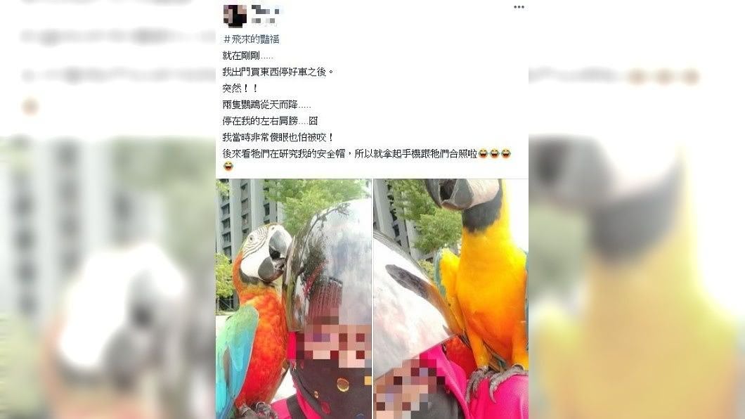 事後有專業網友指出,這2隻是金剛鸚鵡,1隻要價平均10幾萬元。(圖/翻攝自爆廢公社二館)