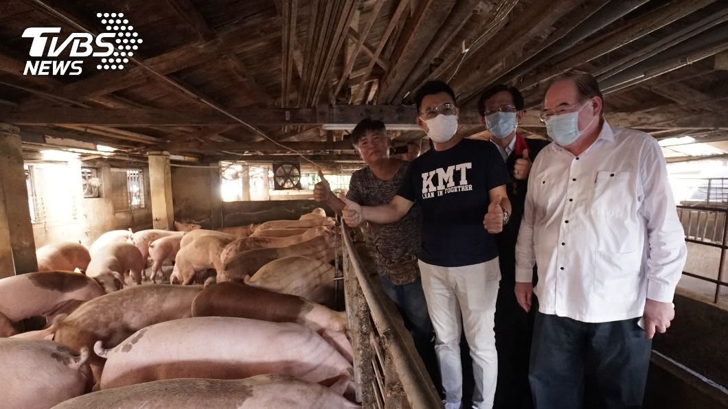 美豬美牛進口鬆綁 江啟臣:民眾健康不能當交易
