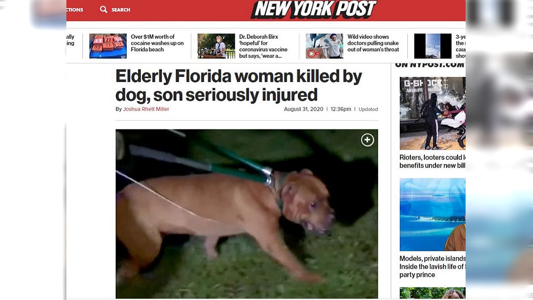 美國佛州發生一起比特犬將飼主咬成重傷,咬死飼主母親的不幸事件。(圖/翻攝自紐約郵報)