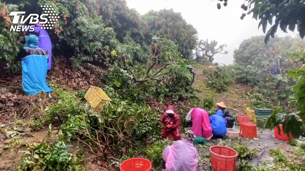 大雨狂襲中南部!高屏農損近千萬 農民哀號