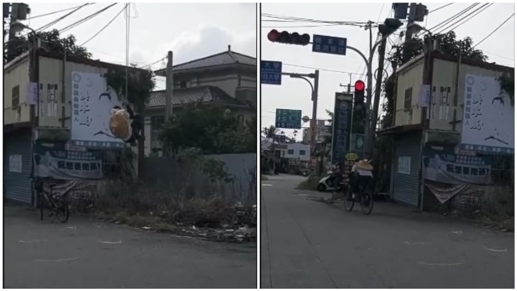 露天健身房？怪男徒手吊掛電纜線　攀爬擺盪民眾看傻