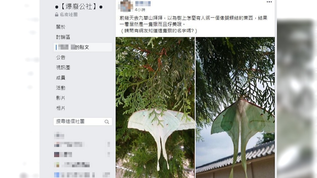 （圖／翻攝自臉書社團「爆廢公社」）