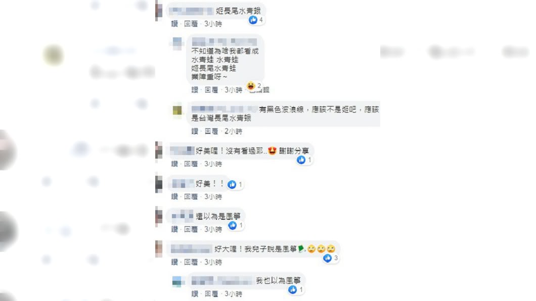 （圖／翻攝自臉書社團「爆廢公社」）