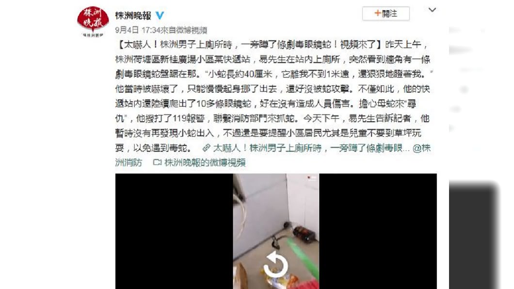 事後該處附近出現10幾條小蛇,警消人員去抓卻沒發現母蛇蹤跡。(圖/翻攝自株洲晚報微博)