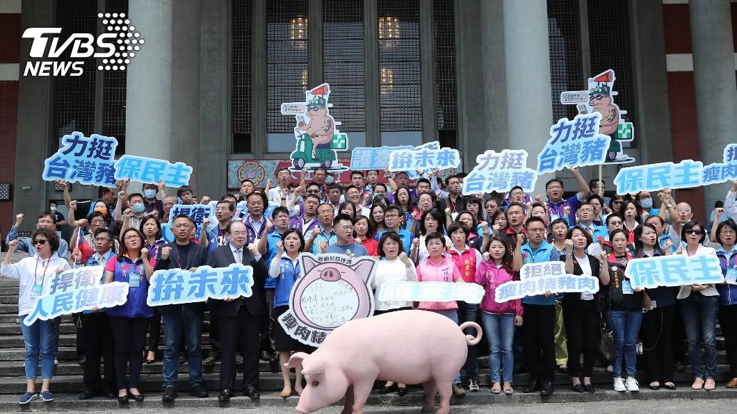 國民黨推公投 黃偉哲:不知反美豬還是反美