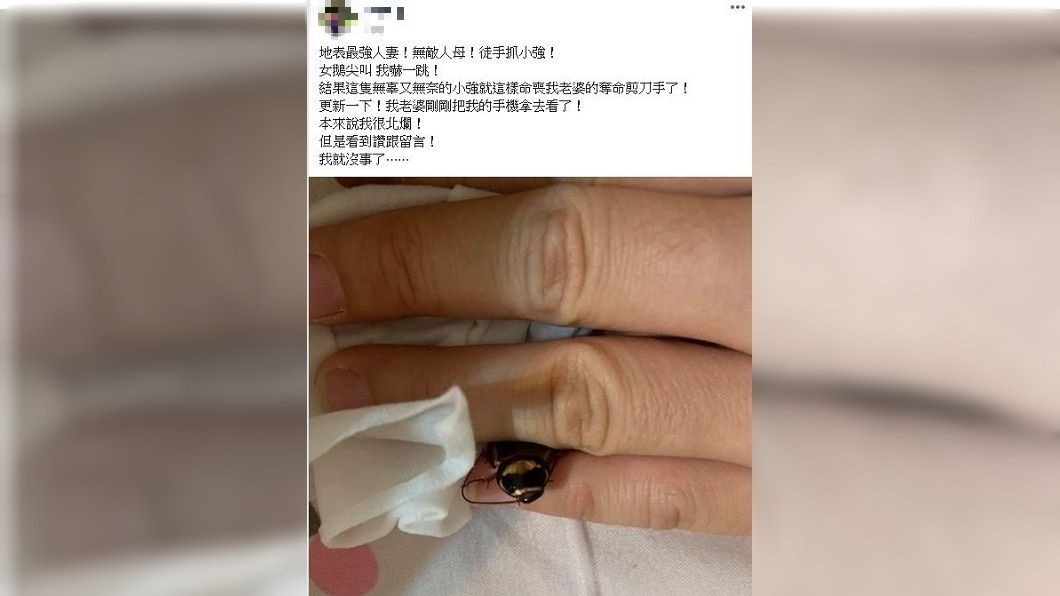 有人夫分享自己的愛妻殺蟑大絕招,不少網友看到都跪了。(圖/翻攝自爆廢公社)