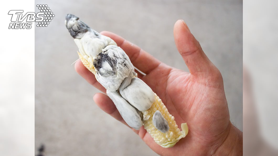 好市多玉米筍「噴肉球」想退貨 網勸:松露級賺到