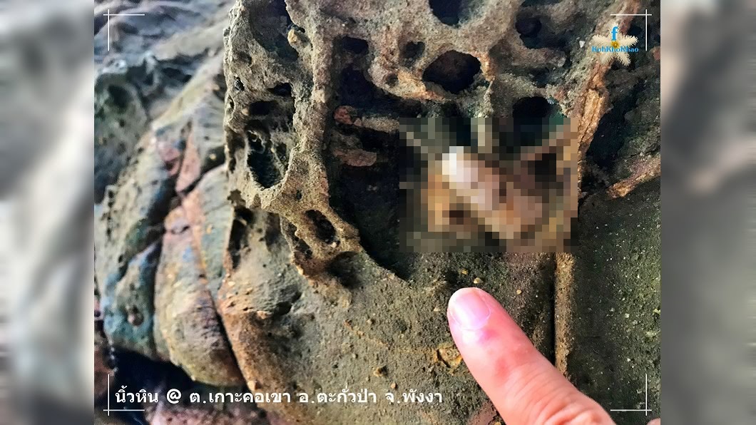 海邊礁石長出「半截死白手指」 嚇壞當地村民!