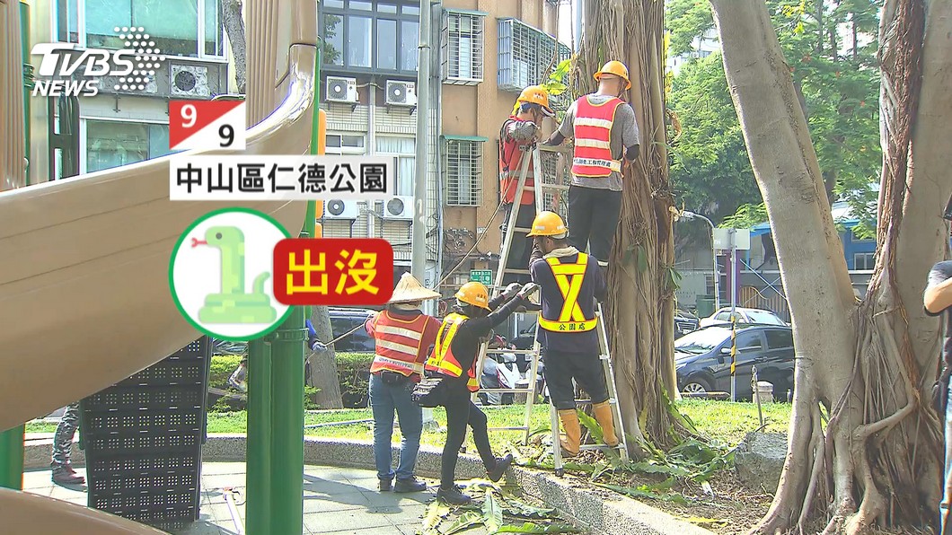 圖/TVBS