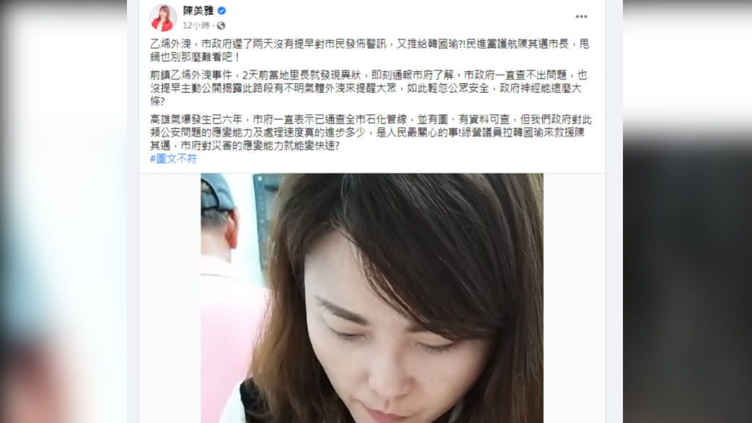 （圖／翻攝自陳美雅臉書）