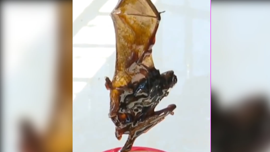 蠔油出現蝙蝠屍!他崩潰索賠 廠商:可以補送2桶