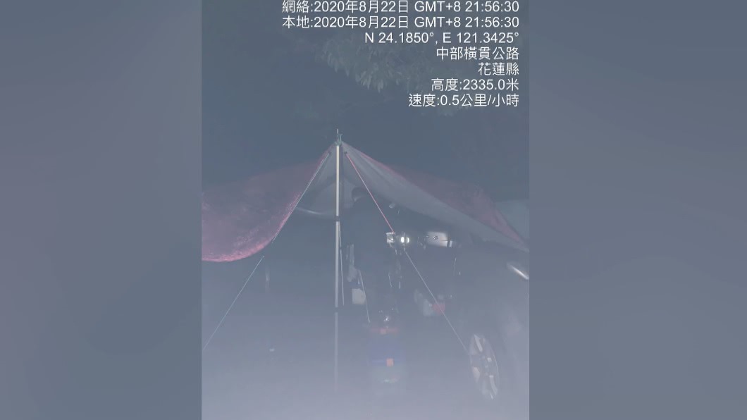 圖/翻攝自福爾魔鯊生存運動交流群
