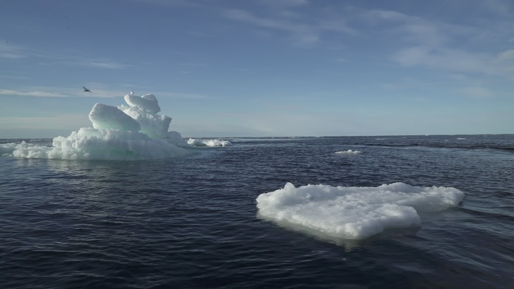 圖/達志影像路透