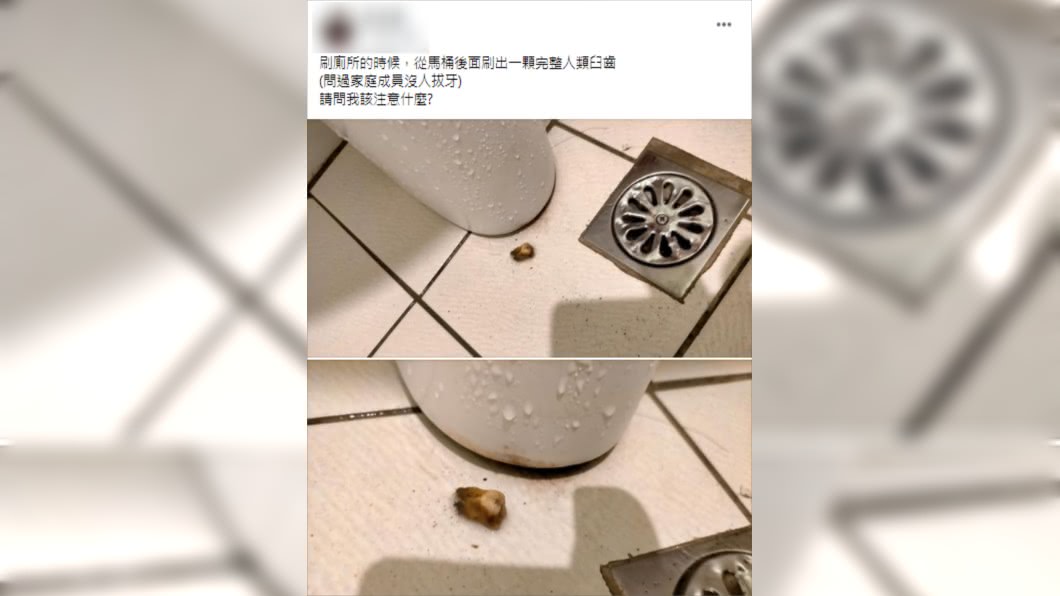 (圖/翻攝自爆廢公社)
