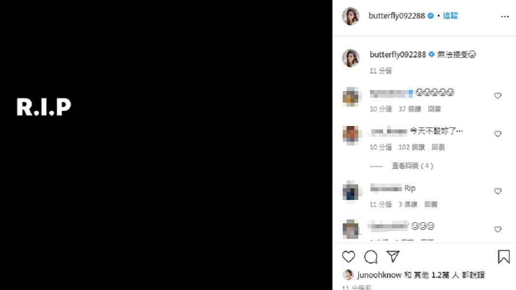 （圖／翻攝自愷樂IG）