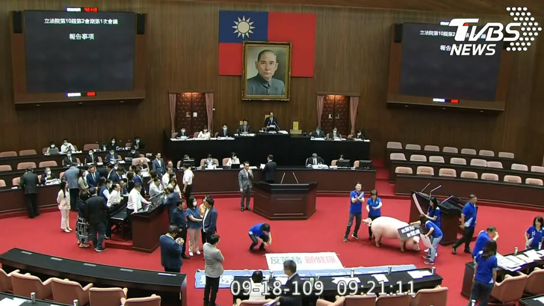 國民黨團要求蔡英文到場報告、蘇貞昌道歉。（圖／TVBS）