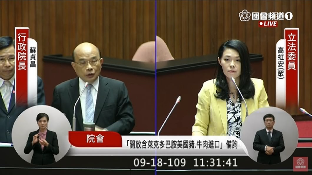 (圖/翻攝自國會頻道YouTube)