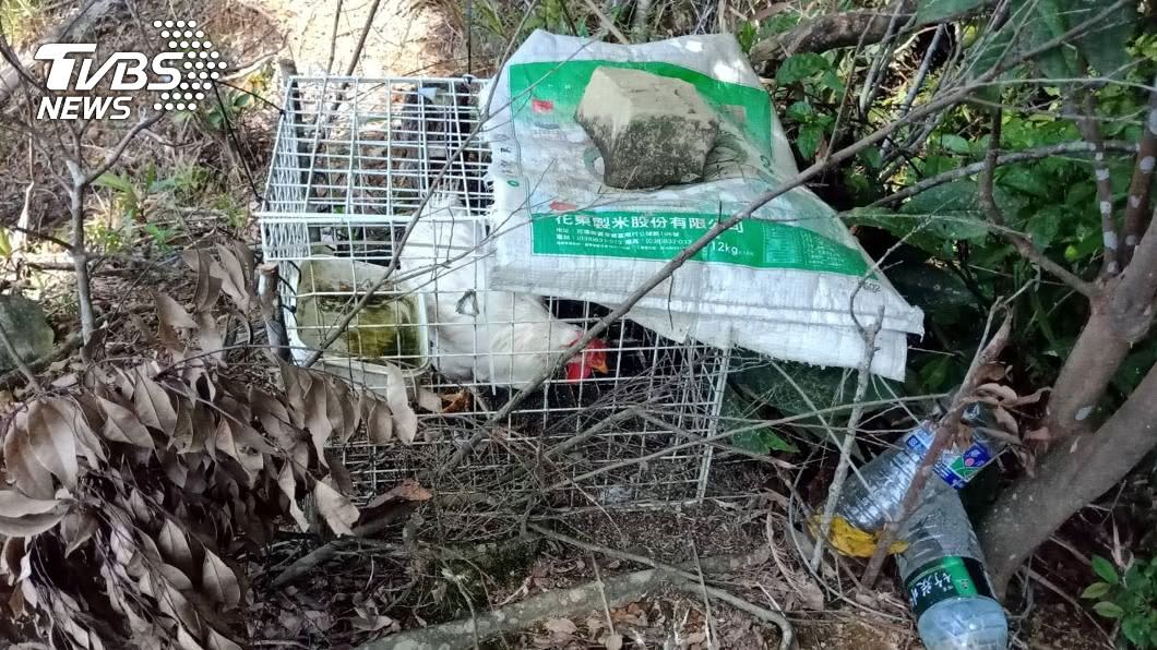 活雞陷阱誘捕峰鷹大型猛禽　台東林管處緊急拆除