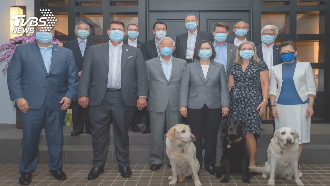 總統蔡英文領養四隻工作犬。(圖/TVBS)