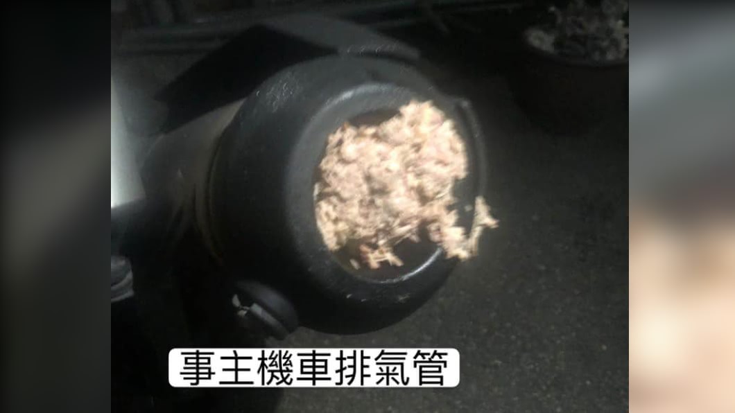 排氣管遭惡意塞「碎豬肉」燙熟 車主怒飆:根本謀殺