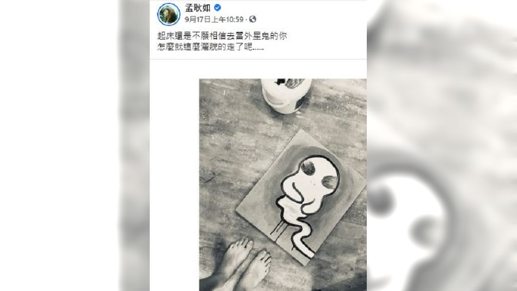 (圖/翻攝自孟耿如臉書)