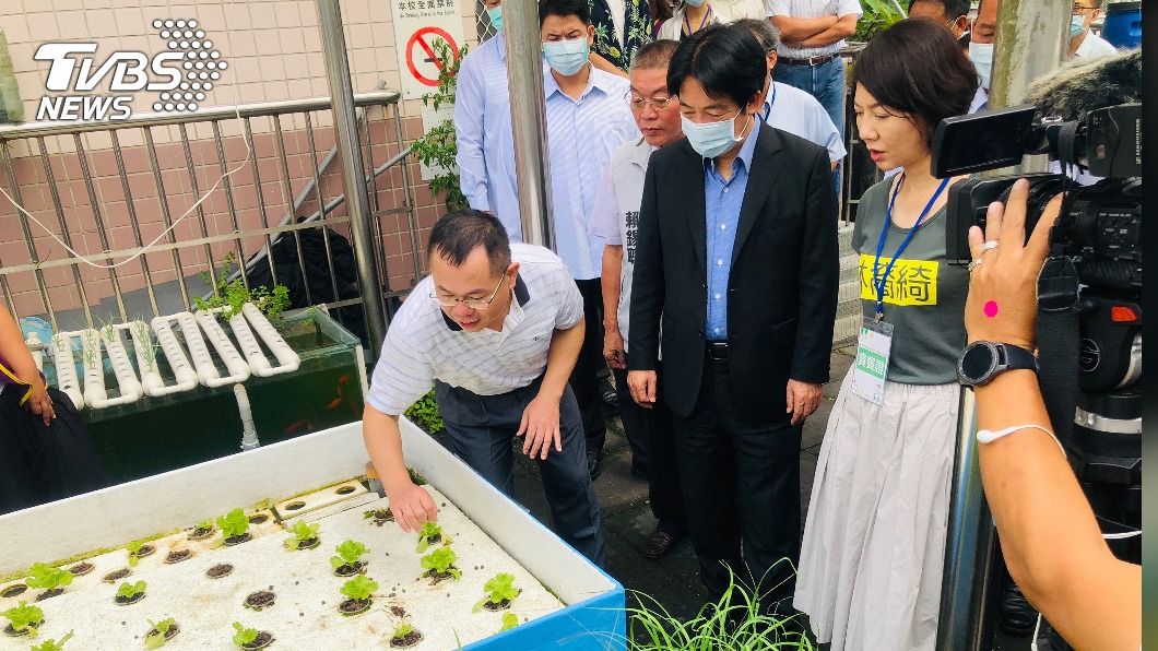 賴清德訪循環農業　新北吉慶國小養黑水虻吃廚餘