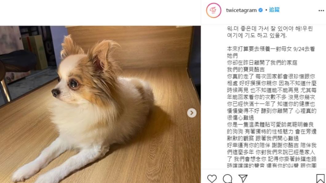 陪伴周子瑜11年的愛犬酷吉離世。（圖／翻攝自twicetagram IG）