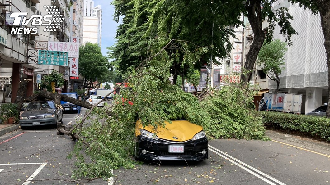 台中路樹攔腰斷2車被砸 車流回堵改道