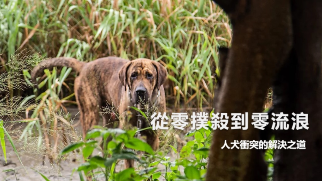 從零撲殺到零流浪 人犬衝突的解決之道