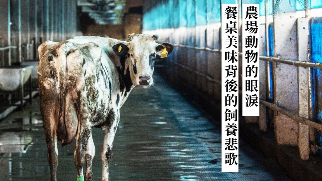 農場動物的眼淚:餐桌美味背後的飼養悲歌