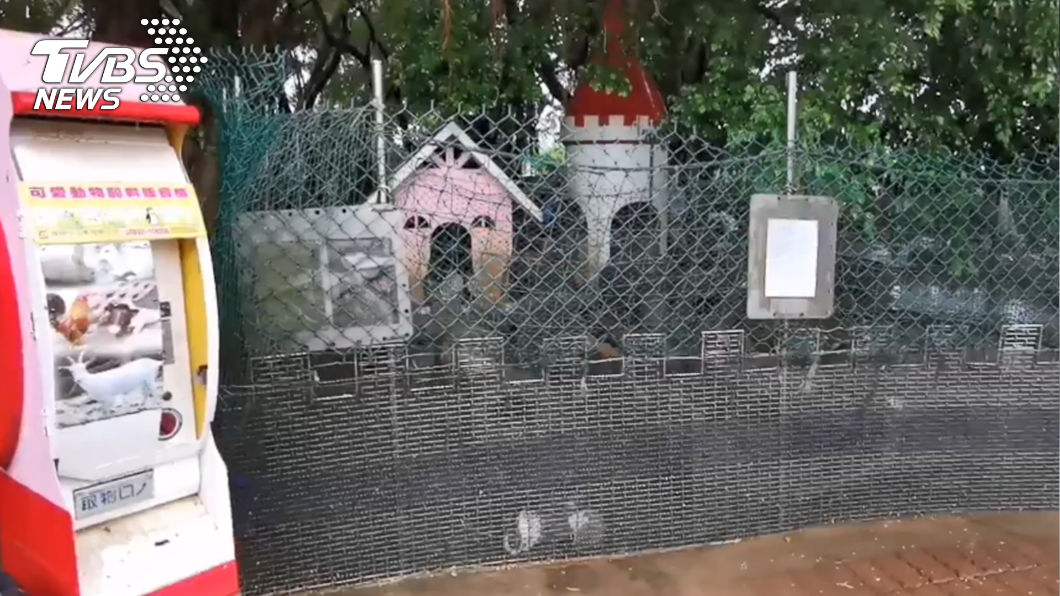 男童媽媽轉身投飼料時,小朋友將手指伸進籠內。(圖/TVBS)
