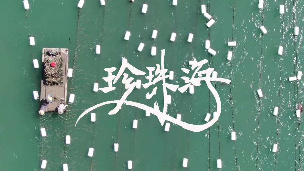 珍珠海