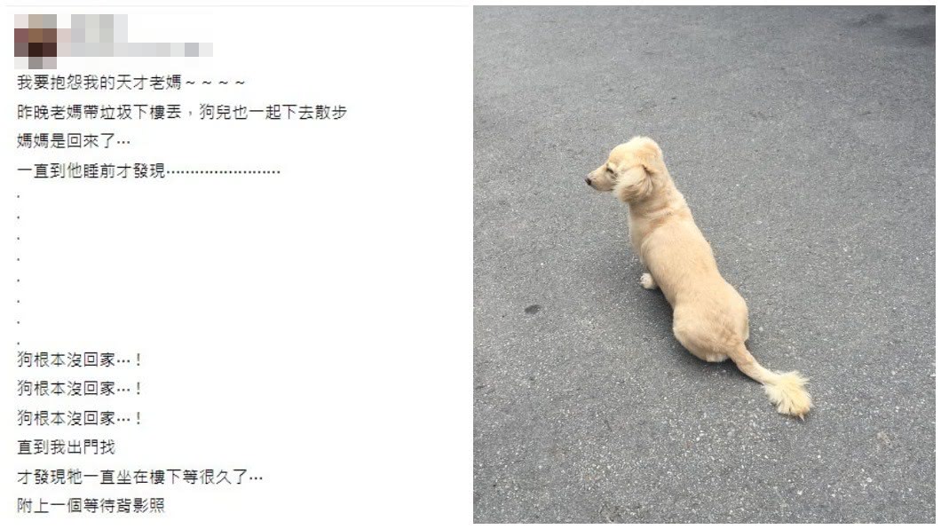 狗狗被阿嬤忘記帶上樓,只好乖乖地坐在家門外等候,背影和神情看來有些落寞。(圖/翻攝自爆怨公社)