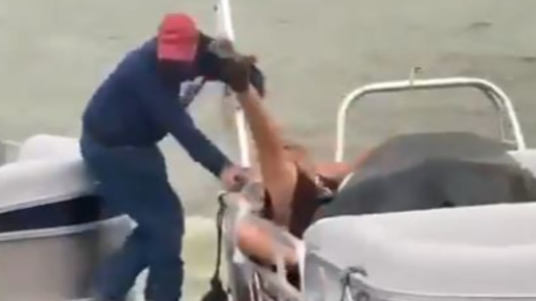 史上最慘求婚 女友無影腳踹飛男友落海