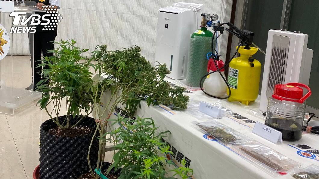 男倉儲員網路自學種大麻 刑事局循線逮捕送辦