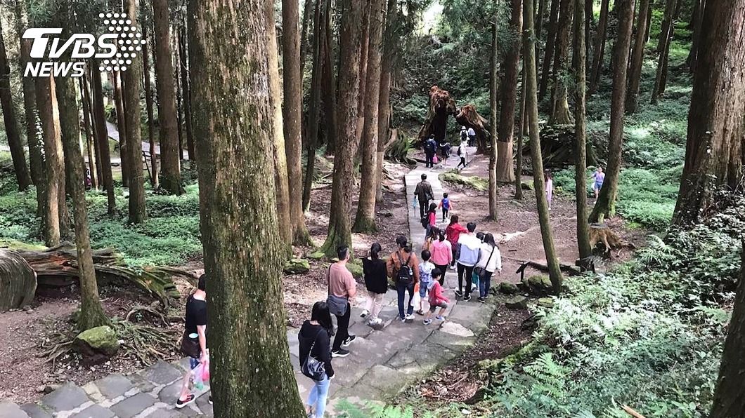 中秋國慶連假 阿里山國家森林入園半價