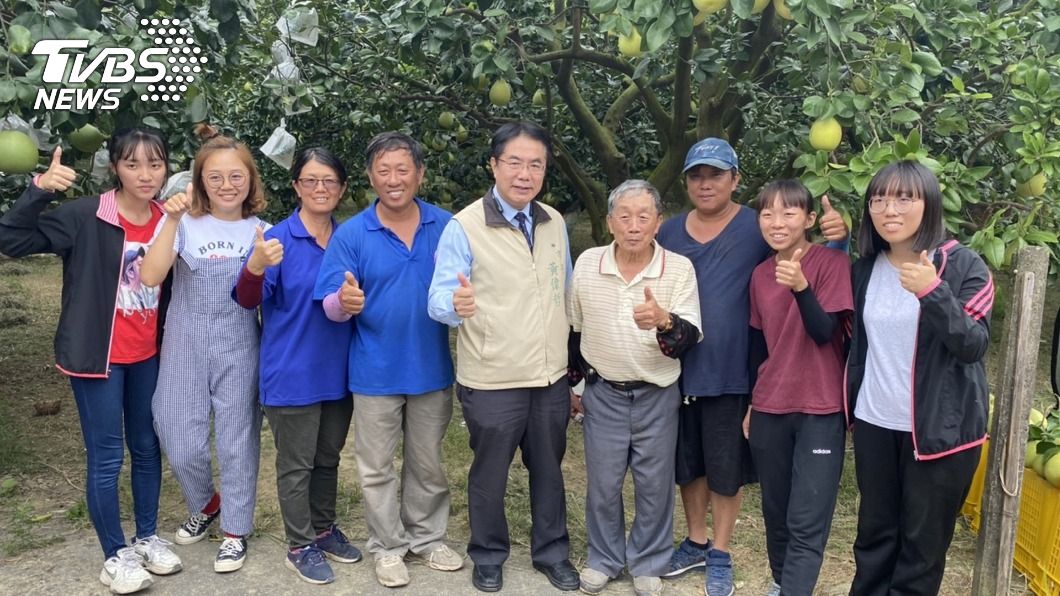 台南文旦收購補助 黃偉哲指示市庫先撥發