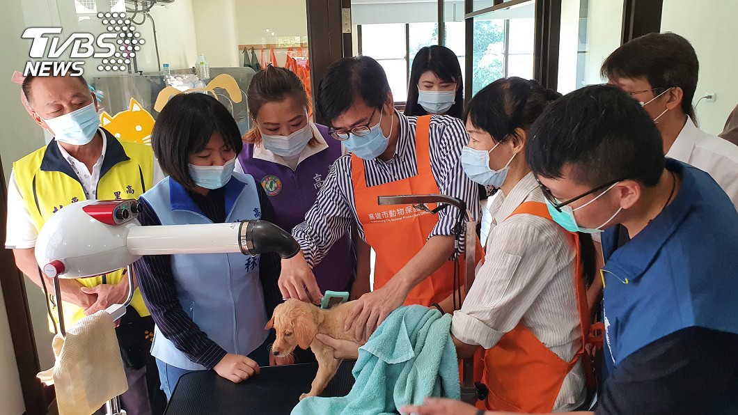 世界動物日 陳其邁:壽山動物園改建刻不容緩