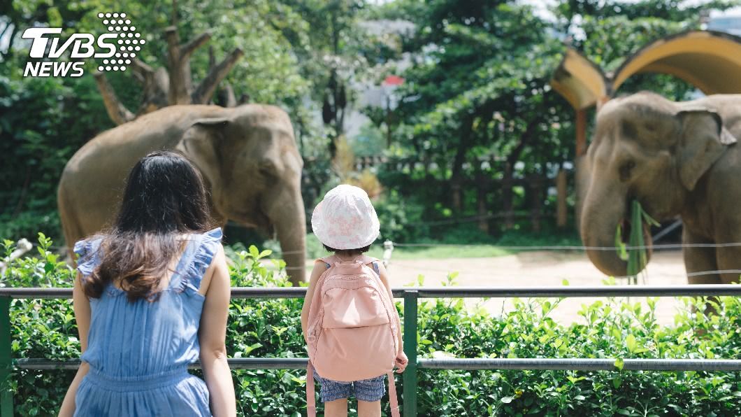 爸點動物園官網見「女優嫵媚對視」　投訴園方稱：沒問題