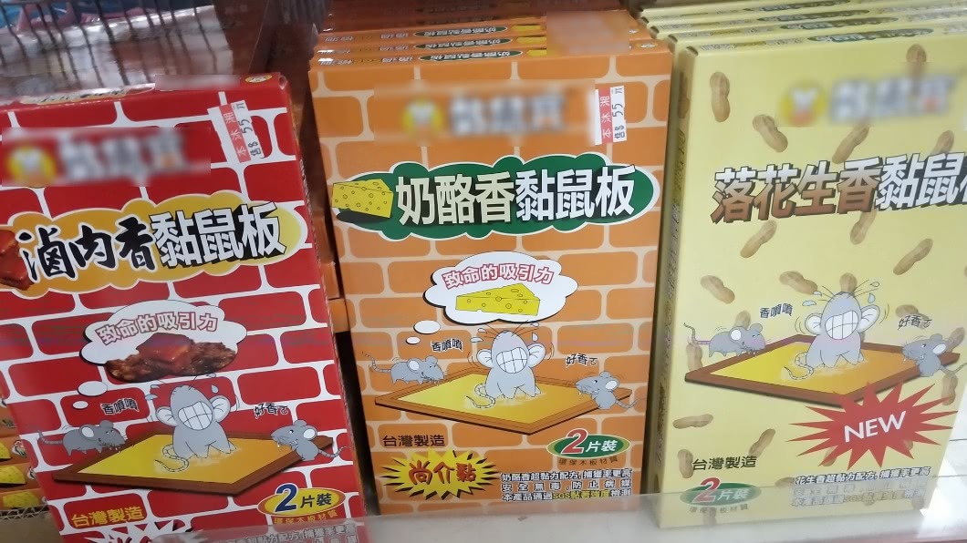 黏鼠板「口味太多」陷選擇障礙 他崩潰:不知牠們愛吃啥