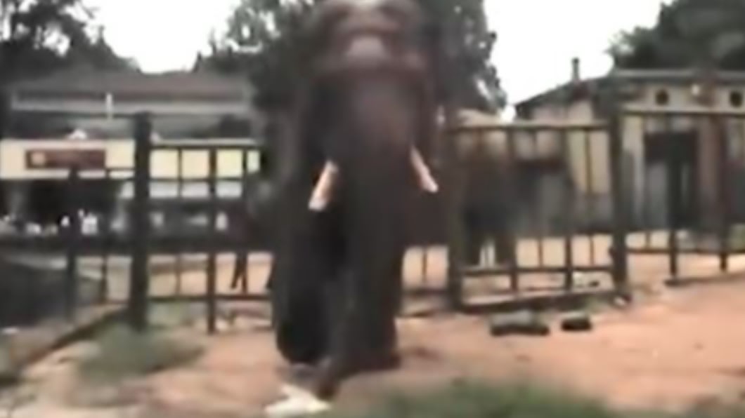 圖/翻攝自沸点视频微博