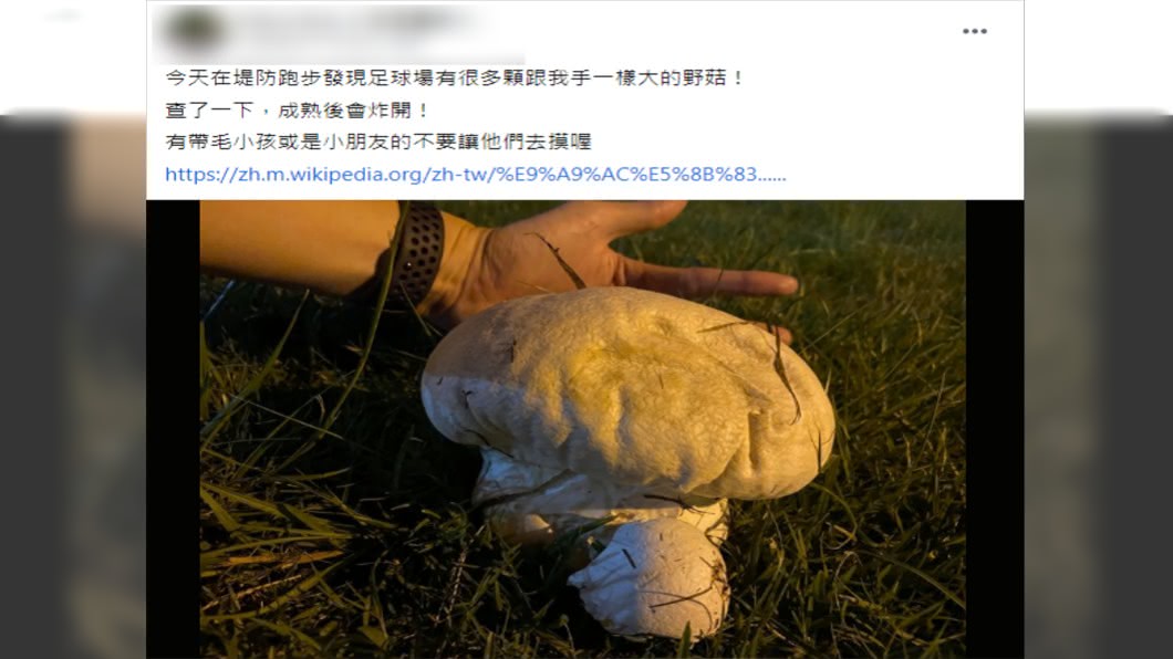 (圖/翻攝自我是蘆洲人)