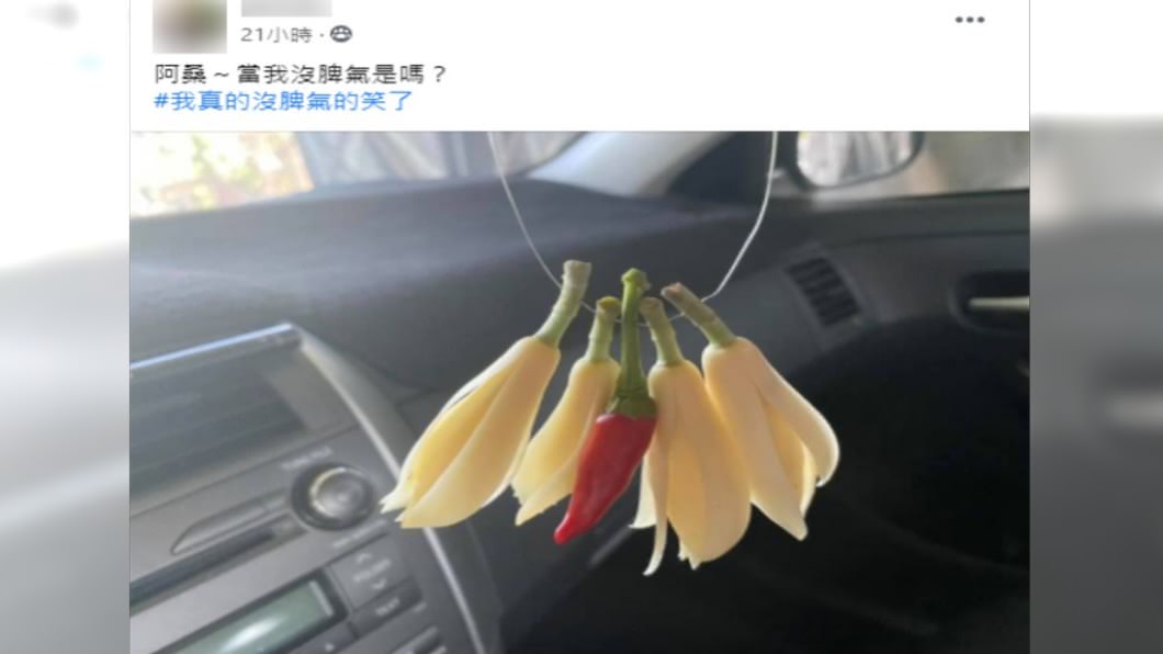 民眾分享自己買到間諜玉蘭花的經驗。（圖／翻攝自「爆廢公社」）