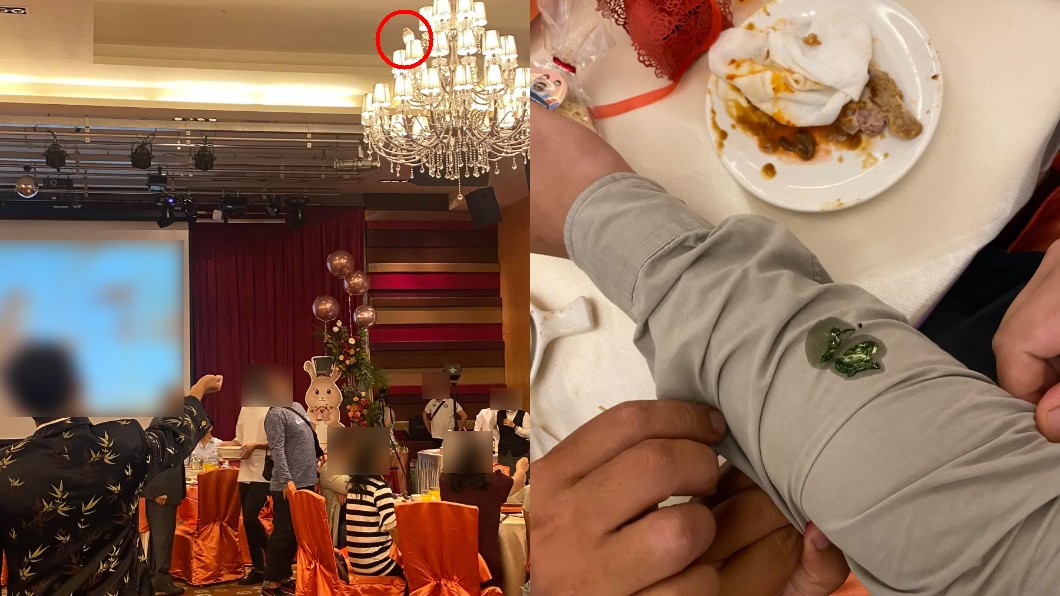白鴿婚宴暴走!現場亂飛「挫青屎」空襲親友 魔術師尷尬