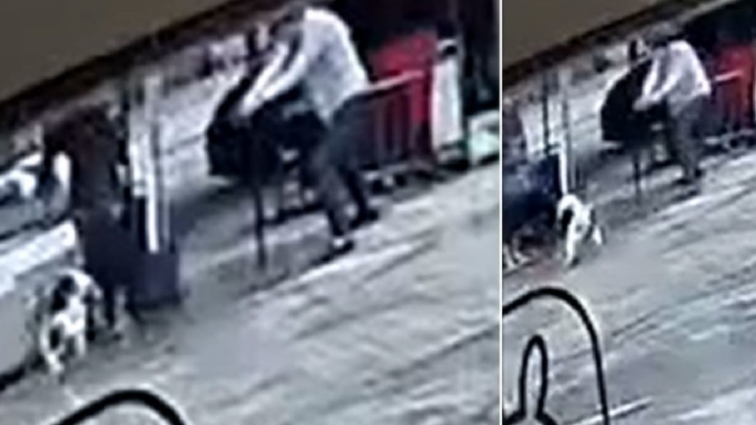男餵狗被咬抓狂「3槍」轟爆! 浪浪無辜躺血泊慘死